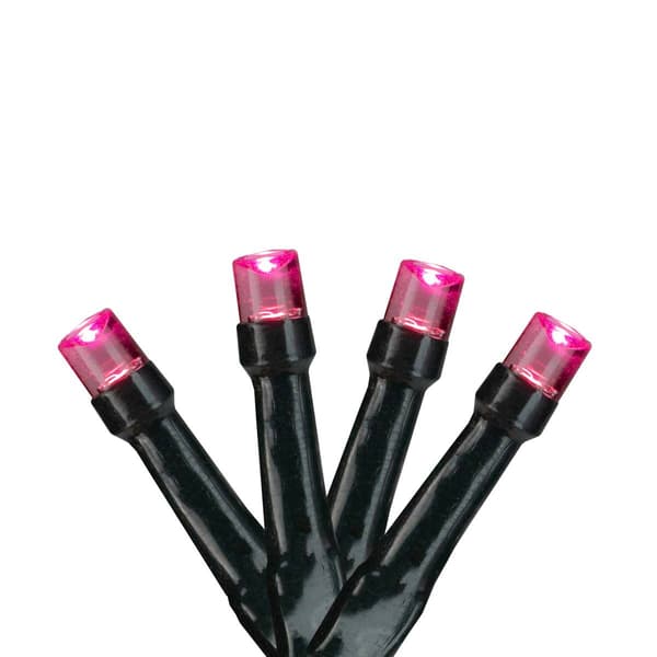 Northlight Seasonal 20ct. LED Wide Angle Holiday Lights
