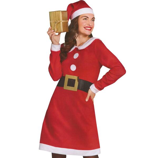 Womens Northlight Seasonal Mrs. Claus Christmas Costume Set - image 