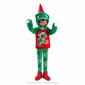 The Elf on the Shelf(R) Magifreeze Flair Wear Dashing Dino - image 1