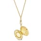 1928 Gold Tone Oval Carnelian Cameo Locket Necklace - image 2
