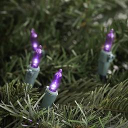 Northlight Seasonal Purple Bulb LED Mini Lights