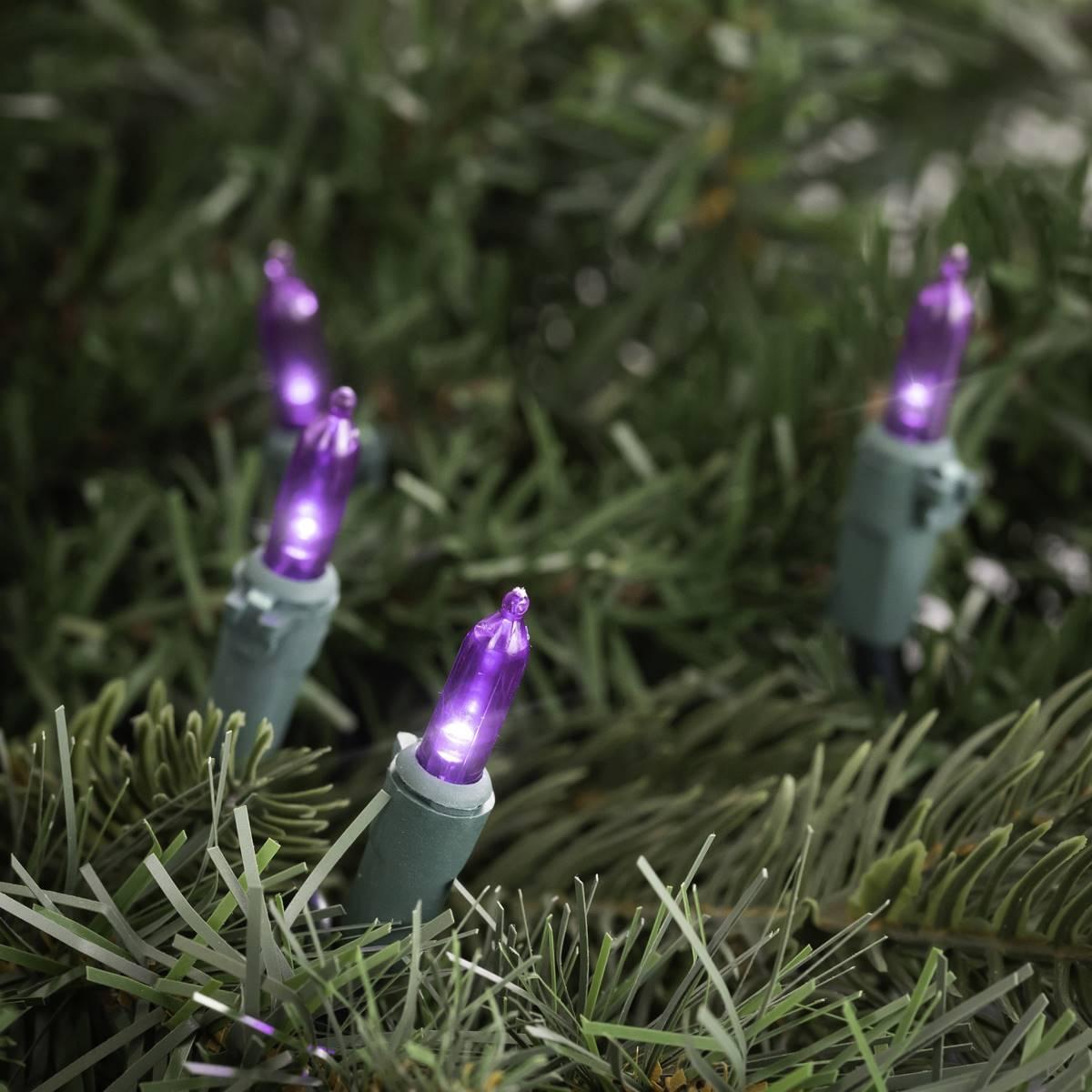 Northlight Seasonal Purple Bulb LED Mini Lights