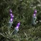 Northlight Seasonal Purple Bulb LED Mini Lights - image 3