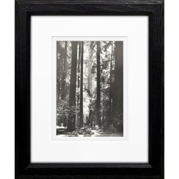 Timeless Frames® Redwoods Founders Grove Framed Wall Art - 8x10 - Boscov's