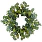 Northlight Seasonal Artificial Eucalyptus Leaves Spring Wreath - image 1
