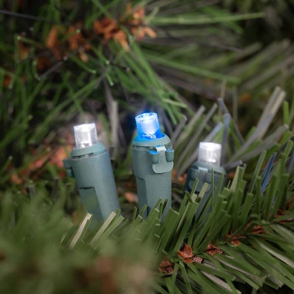 Northlight Seasonal 50ct. LED Wide Angle Holiday Lights