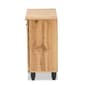 Baxton Studio Gisela Oak Brown Wood 2-Door Shoe Storage Cabinet - image 4