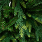 Northlight Real Touch™ 7.5ft. River Deer Pine Christmas Tree - image 5