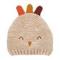 Baby Unisex &#40;NB-9M&#41; Carters&#40;R&#41; Turkey Hat - image 1