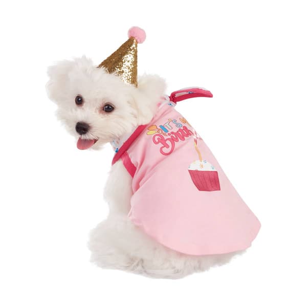 Best Furry Friends Birthday Party Pet Set