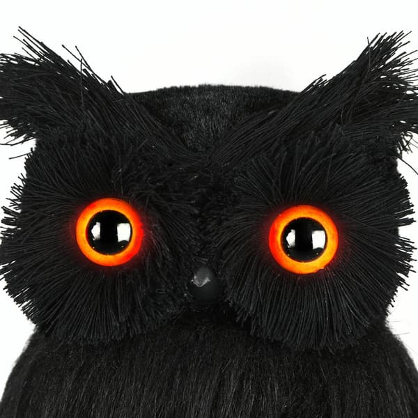 National Tree 11in. Eerie Eyes Owl Figurine