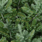 Puleo International 10ft. Pre-Lit Hillside Spruce Tree - image 5