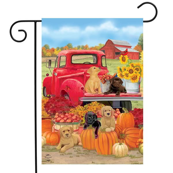 Briarwood Lane Fall Puppies Garden Flag - image 