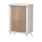 Baxton Studio Simona Mid-Century Modern 2-Door Storage Cabinet - image 1