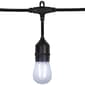 Northlight Seasonal 20.5ft. LED S14 Patio String Lights - image 2