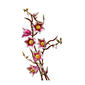 LEGO® Botanicals Magnolia Branches Building Kit - image 7