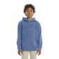 Boys (8-20) Champion® Washed Hoodie W/ Embroidery - image 1
