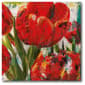 Courtside Market Painted Tulips II Canvas Wall Art - image 1