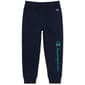 Boys (4-7) Champion® Tonal Hoodie & Joggers Set - North Sea - image 4