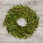 Northlight Seasonal 15in. Artificial Green Foliage Spring Wreath - image 2