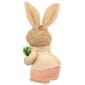 Northlight Seasonal Plush Boy Rabbit w/ Carrots Easter Figurine - image 6