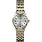 Womens Viewpoint by Timex&#40;R&#41; Two-Tone Watch - CC3D868009J - image 1