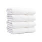 Linum Terry Bath Towel Set - 4pc. - image 1