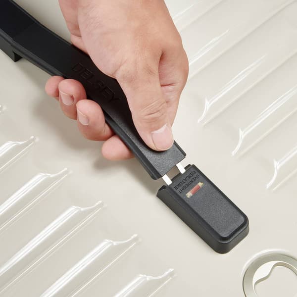 Delsey Paris CRUISE 3.0 26in. Trunk Spinner Luggage