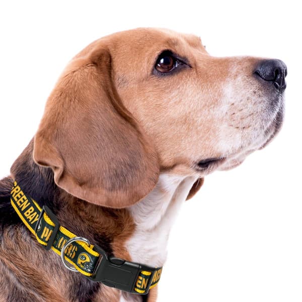 NFL Green Bay Packers Dog Collar