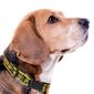 NFL Green Bay Packers Dog Collar - image 3