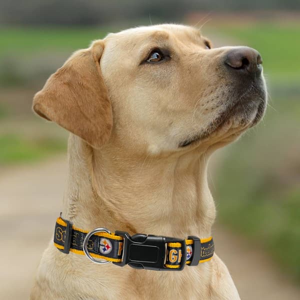 NFL Pittsburgh Steelers Dog Collar