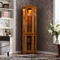 Southern Enterprises Lighted Corner Curio Cabinet - image 1