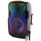 Fisher 15in. Flame Ring Light Speaker Mic - image 1