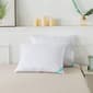 Waverly Antimicrobial Down Blend Pillow - image 1