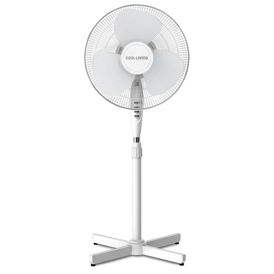 Deal tikka image