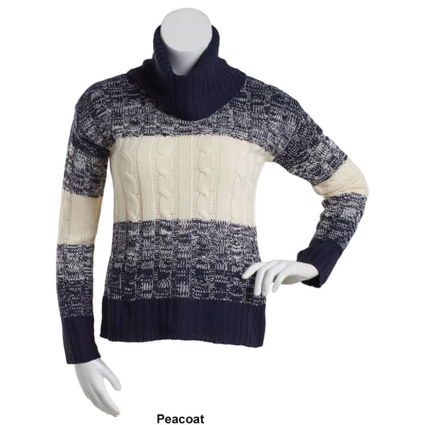 Plus Size Jason Maxwell Long Sleeve Cable Cowl Neck Sweater