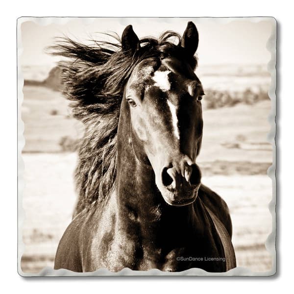 4pk. Black Beauty Square Set - image 