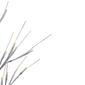 Northlight Seasonal 24in. LED Christmas Twig Tree - image 5
