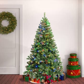 National Tree 6ft. Sagamore Pre-Lit Christmas Tree w/Multi LED - Boscov's