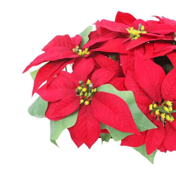 Puleo International 24in. Pre-Lit Red Poinsettia Window Box Décor