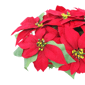 Puleo International 24in. Pre-Lit Red Poinsettia Window Box Décor - image 5
