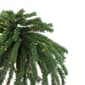 Northlight 4ft. Pre-Lit Tropical Artificial Palm Tree - image 2