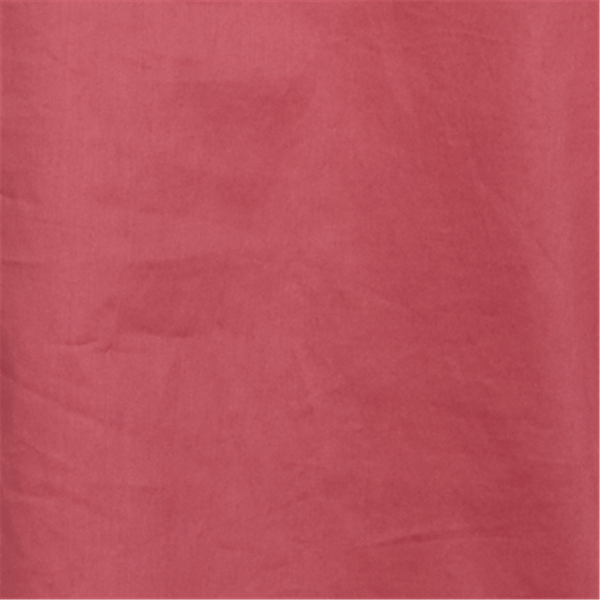 Petite Ruby Rd. Game of Luxe Embroidered Sleeve Voile Blouse