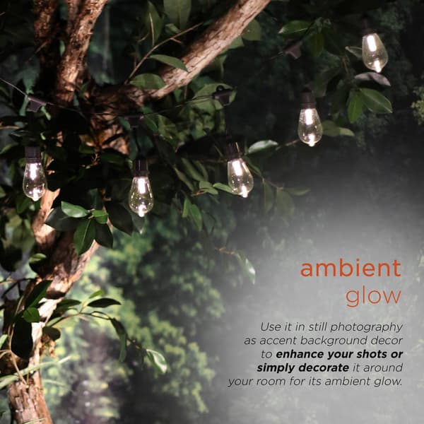 Alpine 10pc Vintage Edison Bulb String Lights w/ Timer & LEDs