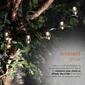 Alpine 10pc Vintage Edison Bulb String Lights w/ Timer & LEDs - image 3