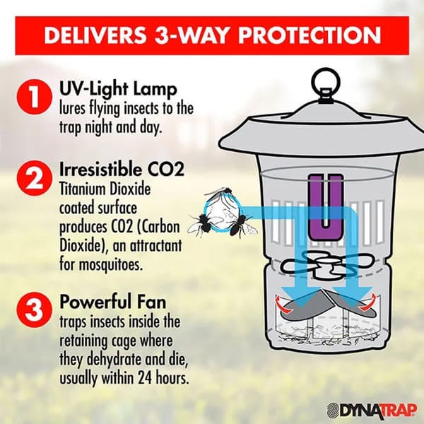Dynatrap 1/2 Acre Insect Trap
