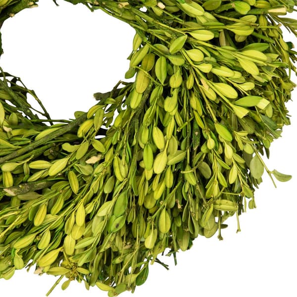 Northlight Seasonal 11in. Artificial Green Foliage Spring Wreath