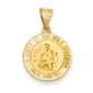 Unisex Gold Classics&#40;tm&#41; 14kt. Queen of the Holy Scapular Pendant - image 1