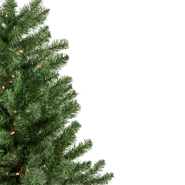Northlight 3ft. Pre-Lit Canadian Pine Artificial Christmas Tree
