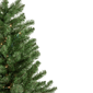 Northlight 3ft. Pre-Lit Canadian Pine Artificial Christmas Tree - image 4